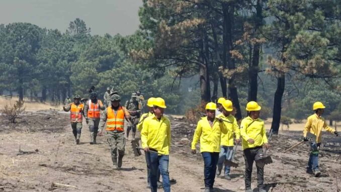 controlado-al-65-por-ciento-incendio-forestal-en-balleza.jpeg Controlado al 65 por ciento incendio forestal en Balleza