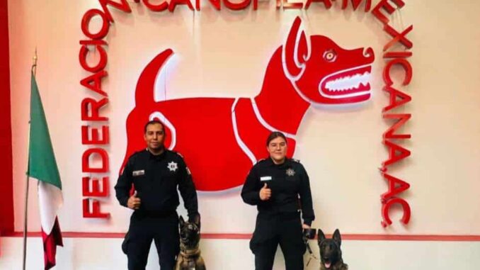 galardonan-a-unidad-canina-de-la-sspm-como-policia-del-ano-2024.jpg Galardonan a Unidad Canina de la SSPM como Policía del Año 2024