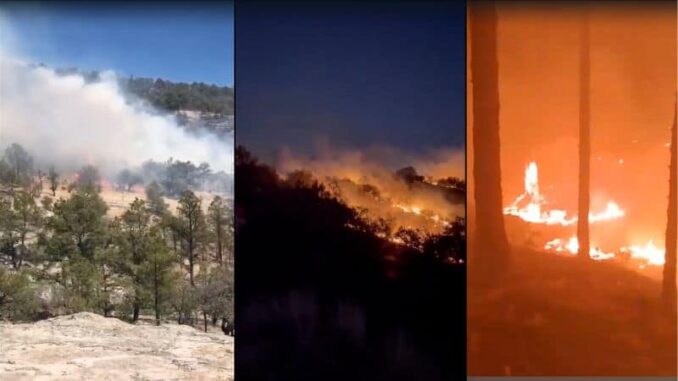 se-reactiva-incendio-forestal-en-la-sierra-de-tomochi.jpg Se reactiva incendio forestal en la sierra de Tomochi