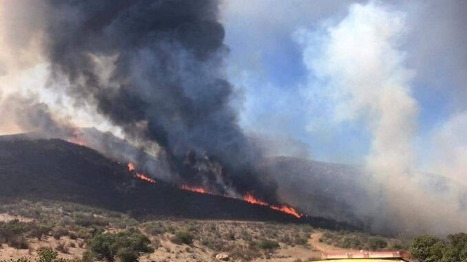 trabajan-450-combatientes-para-controlar-incendios-forestales-en-ocho-municipios.jpeg Trabajan 450 combatientes para controlar incendios forestales en ocho municipios