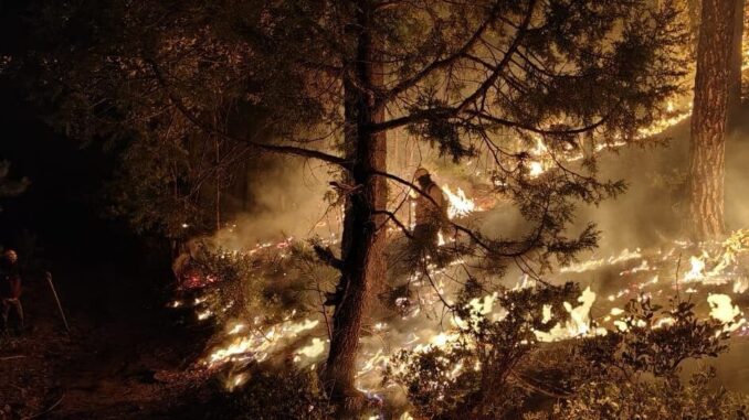 combaten-381-brigadistas-los-13-incendios-forestales-activos-en-8-municipios-del-estado.jpeg Combaten 381 brigadistas los 13 incendios forestales activos en 8 municipios del estado