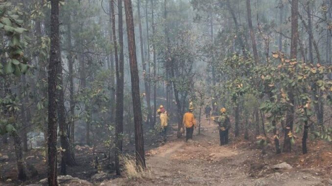 trabajan-272-combatientes-para-abatir-los-siete-incendios-activos-en-la-entidad.jpeg Trabajan 272 combatientes para abatir los siete incendios activos en la entidad