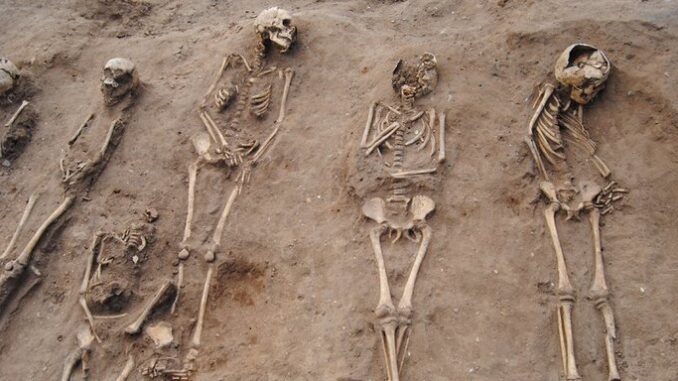 identifican-14-cuerpos-en-fosas-clandestinas-de-casas-grandes.jpg Identifican 14 cuerpos en fosas clandestinas de Casas Grandes