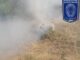 Destruye AEI plantío de marihuana en Guadalupe y Calvo