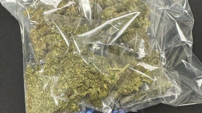 detiene-aei-a-probable-dealer-en-juarez-nuevo.jpg Detiene AEI a probable ‘dealer’ en Juárez Nuevo
