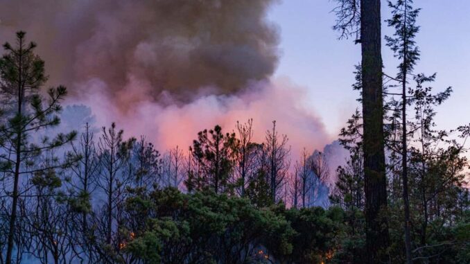 refuerzan-coordinacion-para-combatir-incendios-forestales-con-instalacion-del-equipo-estatal-de-manejo-de-incidentes.jpeg Refuerzan coordinación para combatir incendios forestales con instalación del Equipo Estatal de Manejo de Incidentes