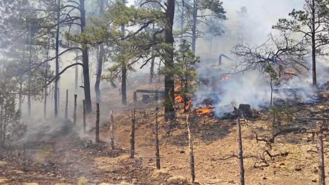 permanecen-activos-17-incendios-forestales-en-la-entidad.jpeg Permanecen activos 17 incendios forestales en la entidad