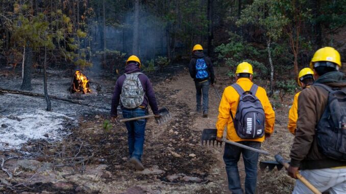 registra-sdr-tres-incendios-forestales-activos-en-el-estado.jpeg Registra SDR tres incendios forestales activos en el estado