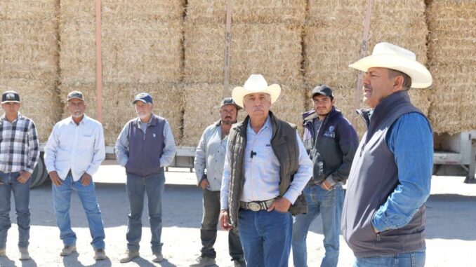 entrega-diputado-arturo-zubia-300-pacas-de-rastrojo-a-productores-ganaderos-en-jimenez.jpeg Entrega Diputado Arturo Zubía 300 pacas de rastrojo a productores ganaderos en Jiménez