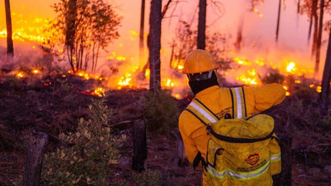 combaten-138-brigadistas-siete-incendios-forestales-activos-en-cinco-municipios.jpeg Combaten 138 brigadistas siete incendios forestales activos en cinco municipios