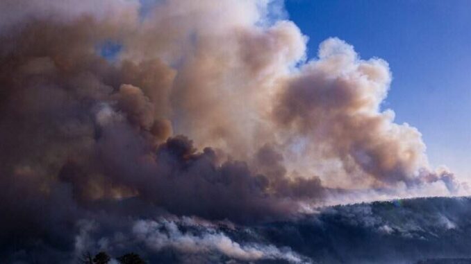 registra-sdr-cinco-incendios-forestales-activos-en-la-entidad.jpeg Registra SDR cinco incendios forestales activos en la entidad