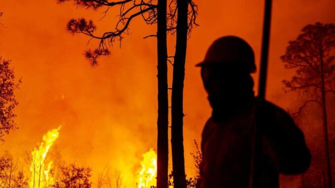 despliegan-a-224-combatientes-para-controlar-15-incendios-forestales-activos-en-la-entidad.jpeg Despliegan a 224 combatientes para controlar 15 incendios forestales activos en la entidad