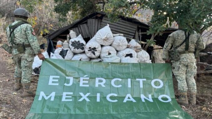 destruccion-plantios-mariguana-amapola-defensa-ejercito-696x464.jpg