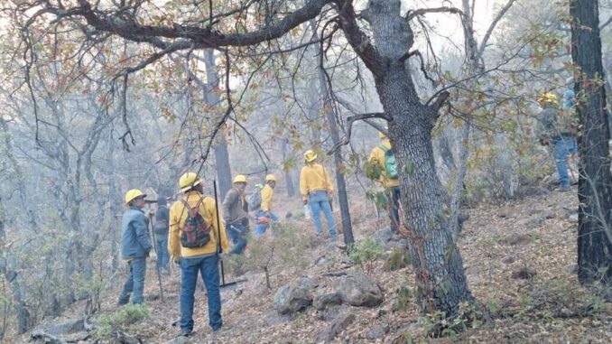 incendios-forestales-en-la-entidad-se-encuentran-controlados-y-sin-riesgo-para-la-poblacion-sdr.jpeg Incendios forestales en la entidad se encuentran controlados y sin riesgo para la población: SDR