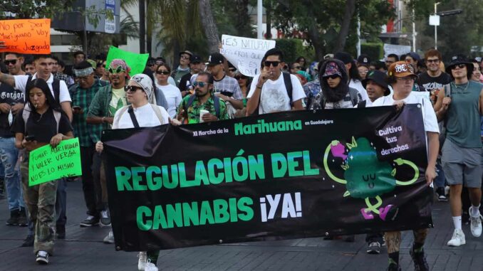 activistas-exigen-regulacion-para-consumo-y-uso-recreativo-de-la-mariguana-en-mexico.jpg Activistas exigen regulación para consumo y uso recreativo de la mariguana en México