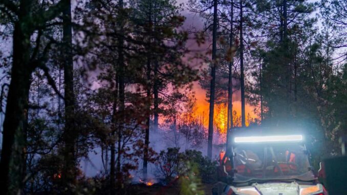 permanecen-activos-12-incendios-forestales-en-el-estado.jpeg Permanecen activos 12 incendios forestales en el estado