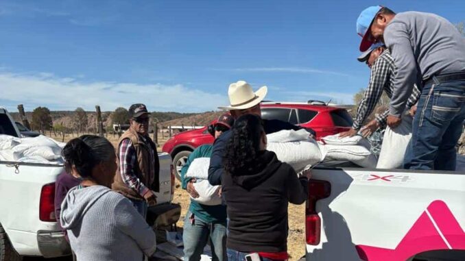 entregan-mas-de-1200-apoyos-alimentarios-a-familias-del-municipio-de-temosachic.jpeg Entregan más de 1,200 apoyos alimentarios a familias del municipio de Temósachic