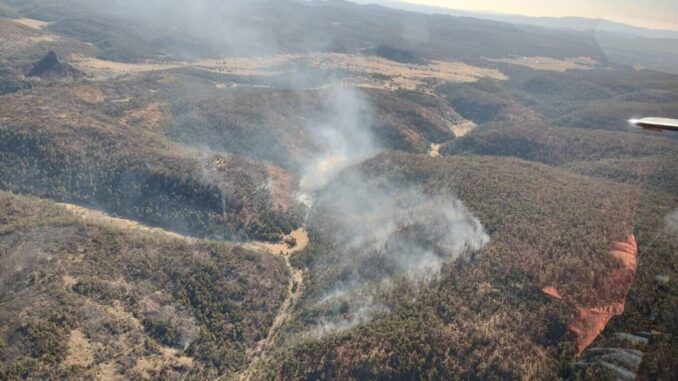 brigadistas-han-combatido-373-incendios-forestales-en-lo-que-va-del-ano.jpeg Brigadistas han combatido 373 incendios forestales en lo que va del año