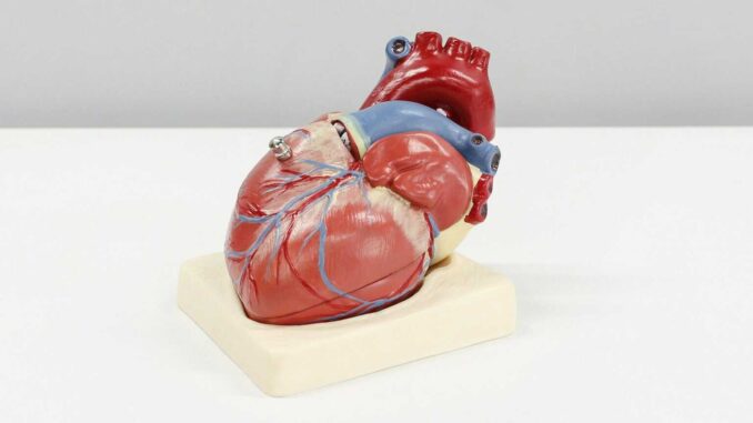 el-60-de-los-mexicanos-tiene-riesgo-de-desarrollar-enfermedades-cardiovasculares.jpg El 60 % de los mexicanos tiene riesgo de desarrollar enfermedades cardiovasculares