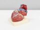 El 60 % de los mexicanos tiene riesgo de desarrollar enfermedades cardiovasculares