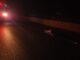 Fallece hombre por posible atropello en el Corredor Comercial