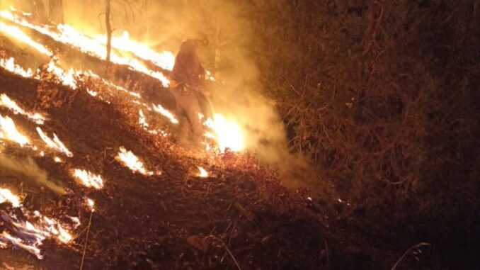 reporta-sdr-12-incendios-forestales-activos-en-el-estado.jpeg Reporta SDR 12 incendios forestales activos en el estado
