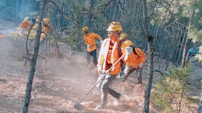 bajo-control-el-unico-incendio-forestal-activo-en-el-estado.jpeg Bajo control el único incendio forestal activo en el estado