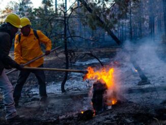 Liquidan combatientes incendio forestal en Guadalupe y Calvo