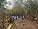 AI urge a las autoridades mexicanas esclarecer hallazgo de fosa con 60 cuerpos en Morelos