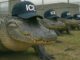Protestan en EE.UU. contra cárcel migratoria ‘Alligator Alcatraz’