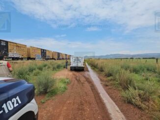 Hombre pierde la vida tras ser arrollado por el tren en zona de Palomas 