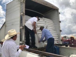 Entrega Gobierno del Estado 14 toneladas de semilla de avena a productores de la zona sur