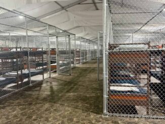 Denuncian que hay 750 migrantes en jaulas en el ‘Alligator Alcatraz’ de Florida