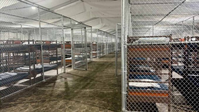 Denuncian que hay 750 migrantes en jaulas en el ‘Alligator Alcatraz’ de Florida