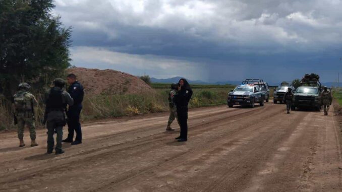 hallan-cuerpo-en-campo-menonita-presumen-asesinato.jpeg Hallan cuerpo en campo menonita; presumen asesinato
