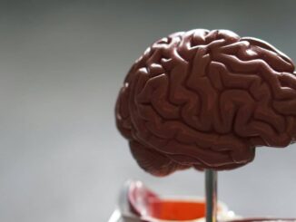 Infartos cerebrales impactan a mexicanos cada vez más jóvenes, alerta especialista