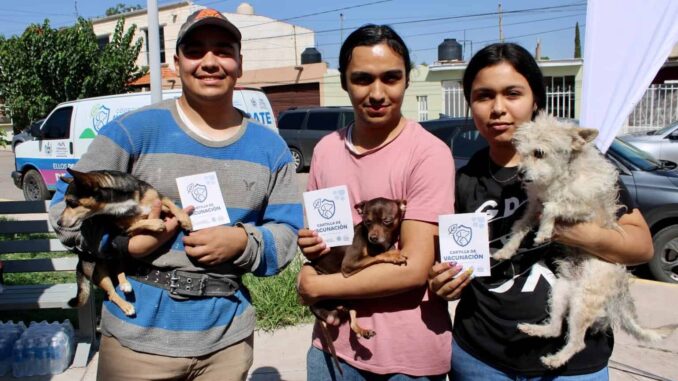 beneficio-municipio-a-mas-de-100-perros-y-gatos-con-servicios-gratuitos-en-colonia-los-pinos.jpeg Benefició Municipio a más de 100 perros y gatos con servicios gratuitos en colonia Los Pinos