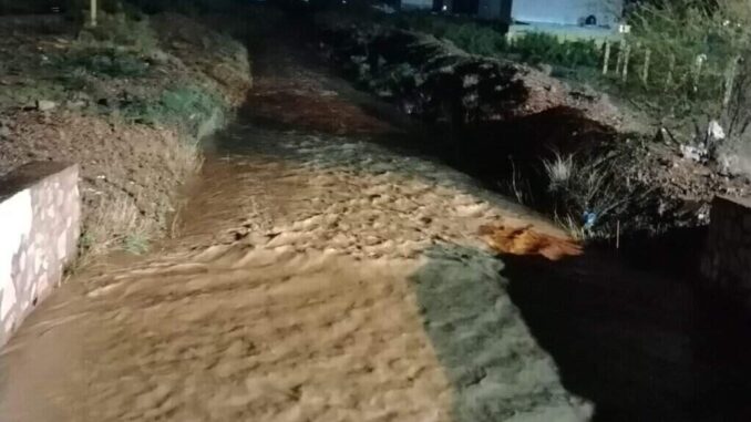WhatsApp-Image-2025-07-03-at-10.47.13-AM-1-scaled-e1751562561374.jpeg