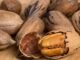 Mantiene Chihuahua liderazgo nacional en producción de nuez pecana