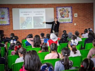 ¿Cuándo regresan a clases los alumnos de primaria?; esto dice la SEP