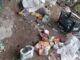 Destruye operativo conjunto campamento en Moris