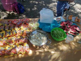 Con ‘Pool Party’, conmemora CEJUM ‘Las Adolescencias también cuentan’