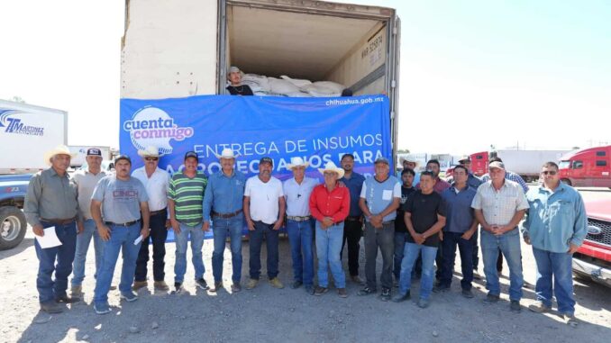entregan-33-toneladas-de-maiz-rolado-a-porcicultores-y-ganaderos-de-camargo.jpeg Entregan 33 toneladas de maíz rolado a porcicultores y ganaderos de Camargo