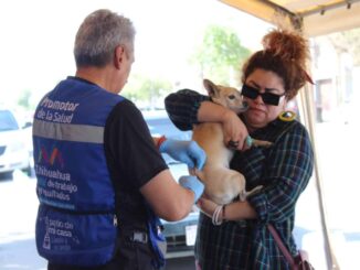 Municipio da a conocer los síntomas de la rickettsia y cómo prevenirla