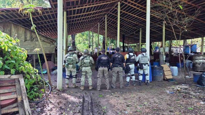 inhabilitan-laboratorio-en-palenque-chiapas-aseguran-900-kilogramos-de-metanfetaminas.jpg Inhabilitan laboratorio en Palenque, Chiapas; aseguran 900 kilogramos de metanfetaminas