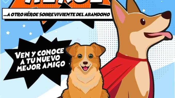 invita-municipio-a-programa-adopta-como-heroe-en-parque-el-reliz.jpeg Invita Municipio a programa “Adopta como Héroe” en Parque El Reliz