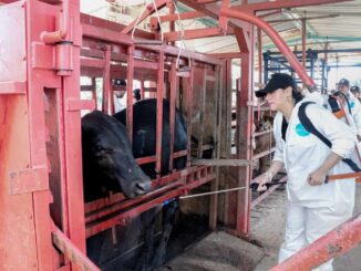 Refuerza Gobierno del Estado acciones sanitarias vs la tuberculosis bovina