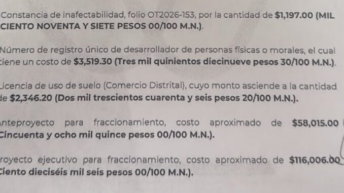 WhatsApp-Image-2026-07-26-at-11.41.20-AM-e1785092828463.jpeg